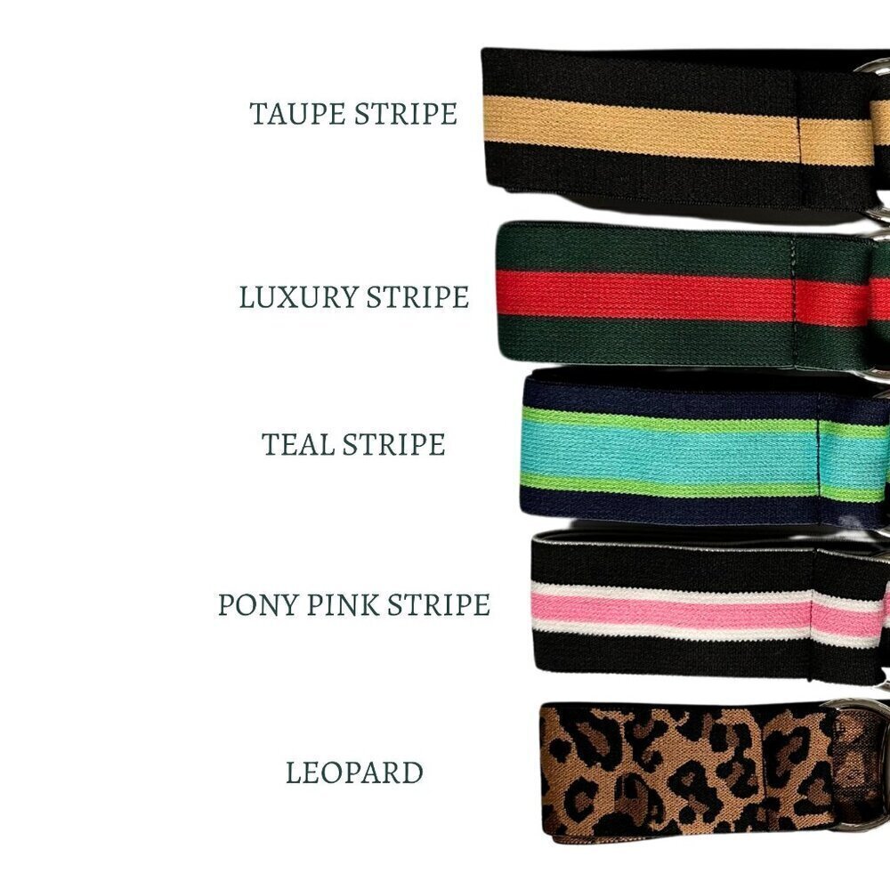 Elastic Silver Horse Bit Belts for Equestrians in Stripes - Picture 2 of 4